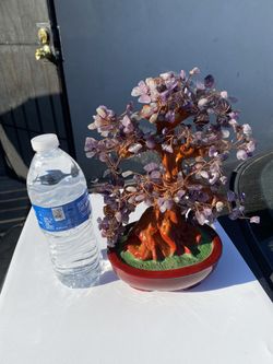 Big Amethyst Tree