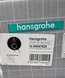 Hansgrohe Trim with Diverter