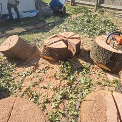 Free Firewood Plus 55 Dollar Delivery