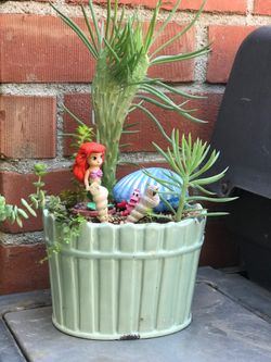 $23 Little mermaid inspired fairy garden, With mermaid tail succulent
