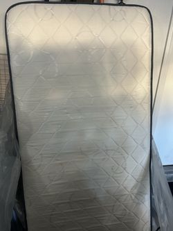 Sealy 5 inch Mattress Oak Glen Firm