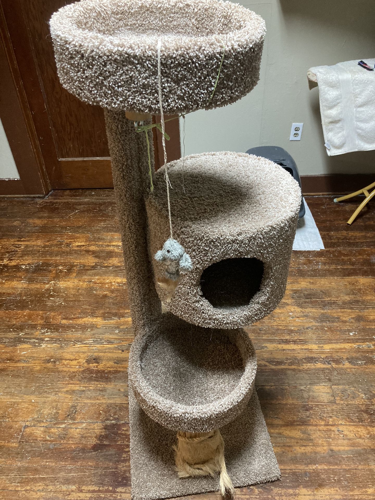 Cat Play Tower An Scatch Board 