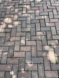 Paver Bricks (Free)