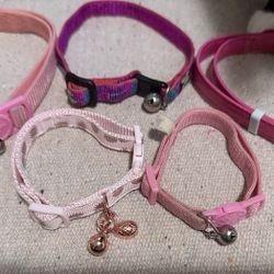 Cat Collars (Female)