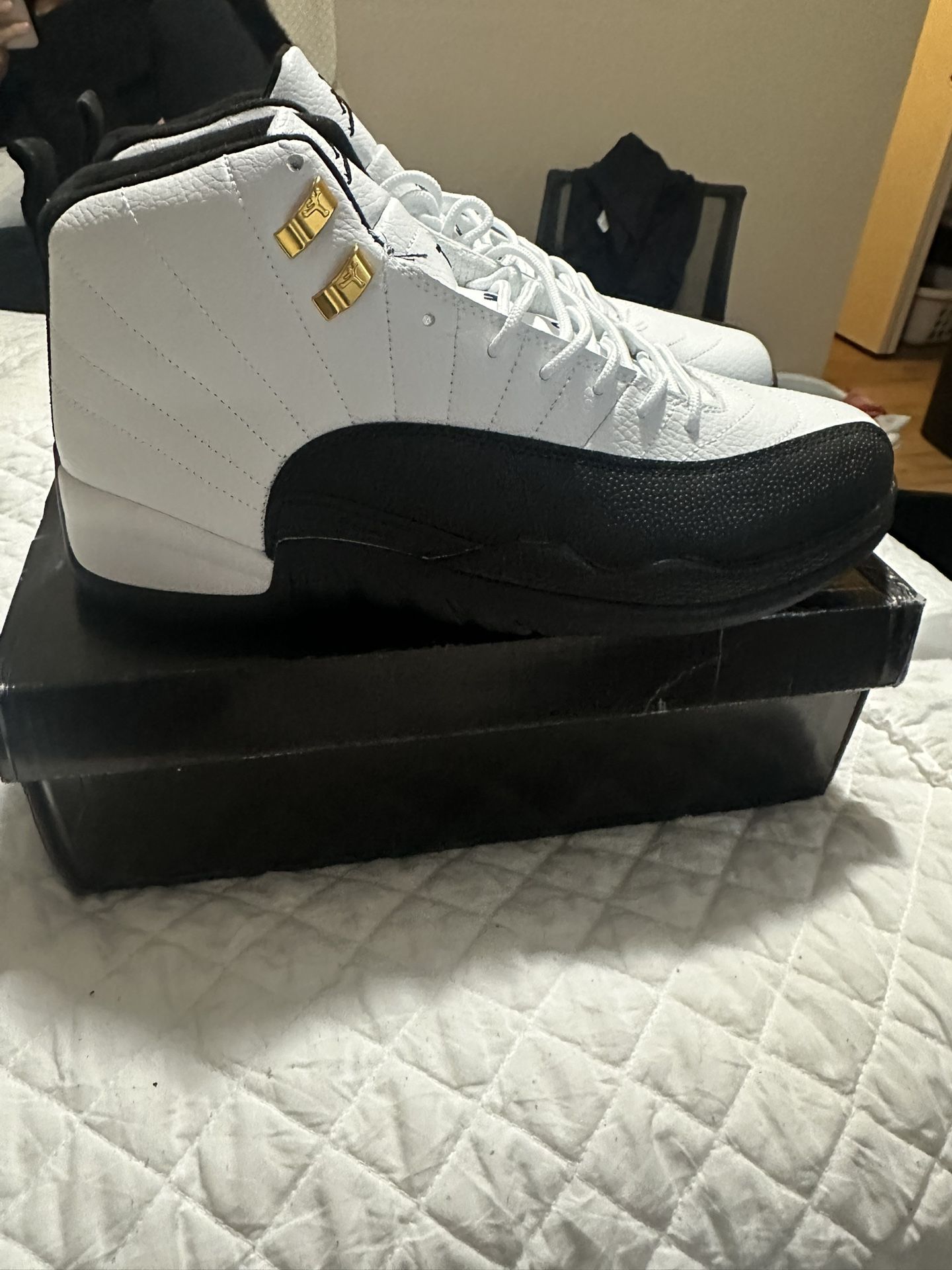 Jordan 12 Taxi’s