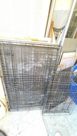 Dog Crate