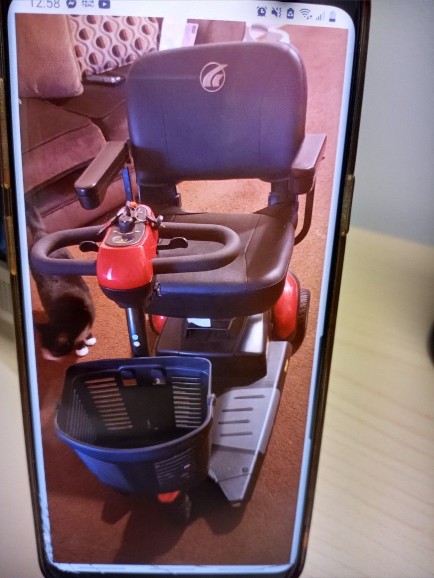 Buzz Around XL Scooter
