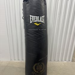 Everlast 48” Heavy Punching Bag – With Chains 