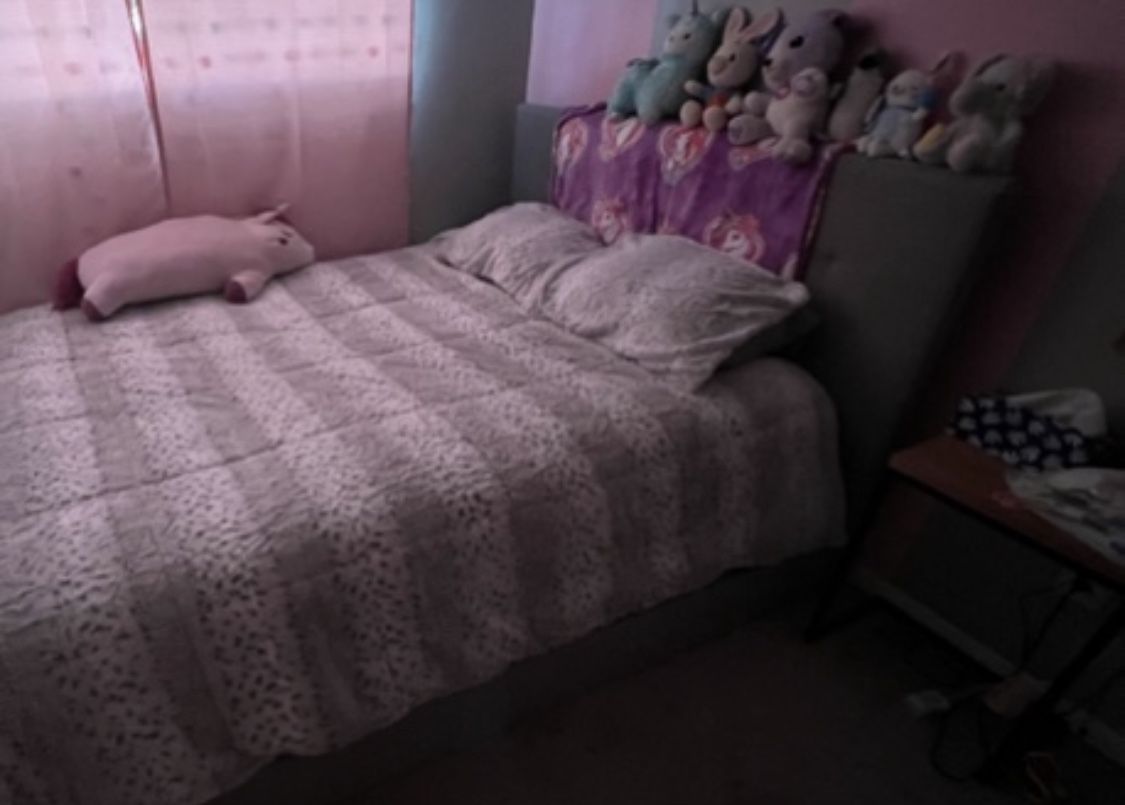 Queen Bed Includes Mattress And Box Spring
