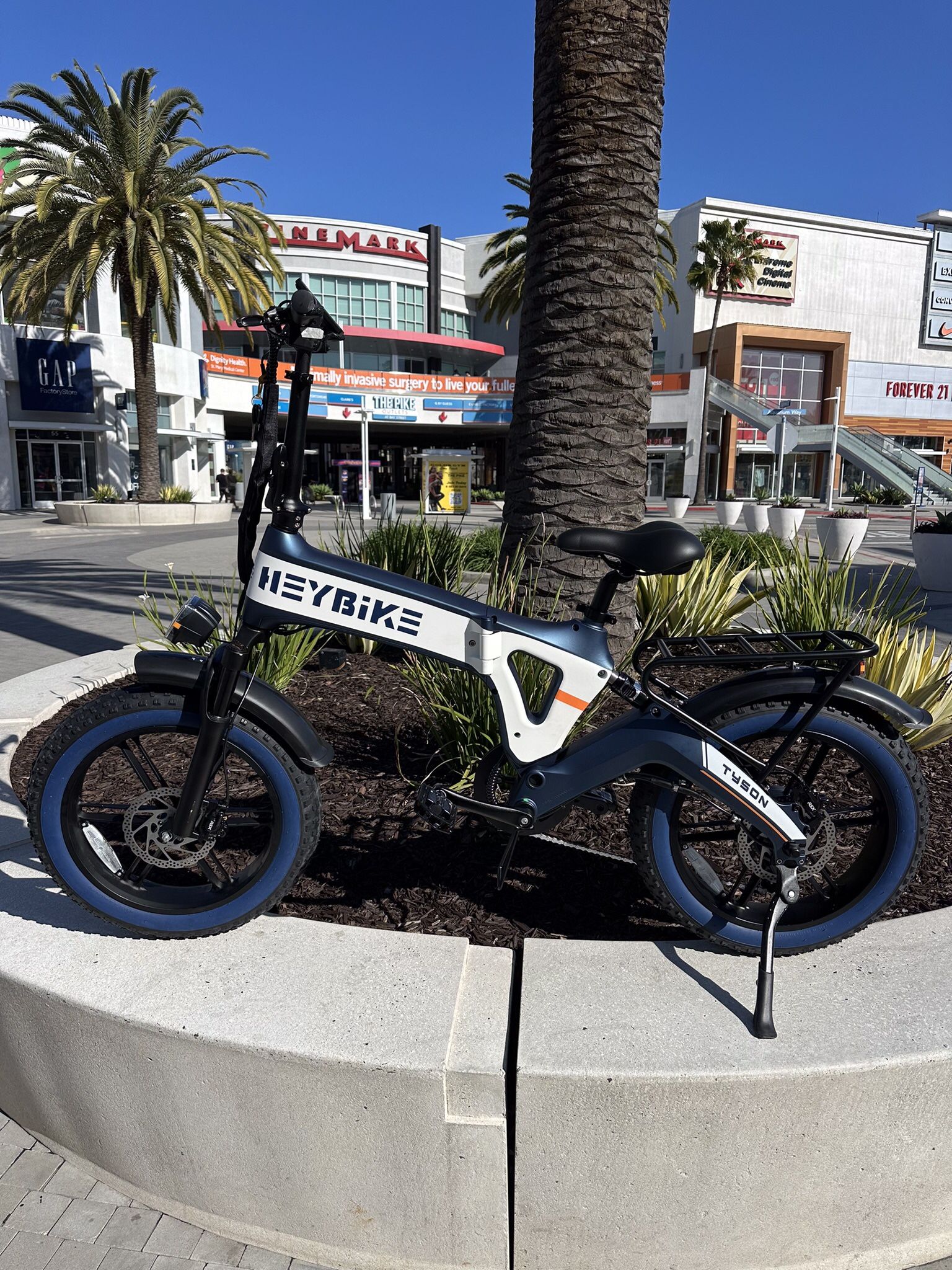 Electric Bike