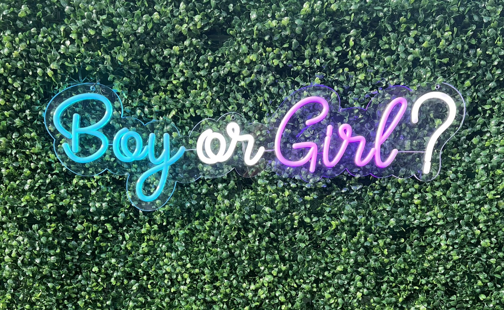 Boy or Girl LED Neon Sign 