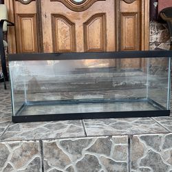 40 gallon fish tank