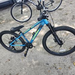 Schwinn Axum (NEW) Mountain Bike / 29in