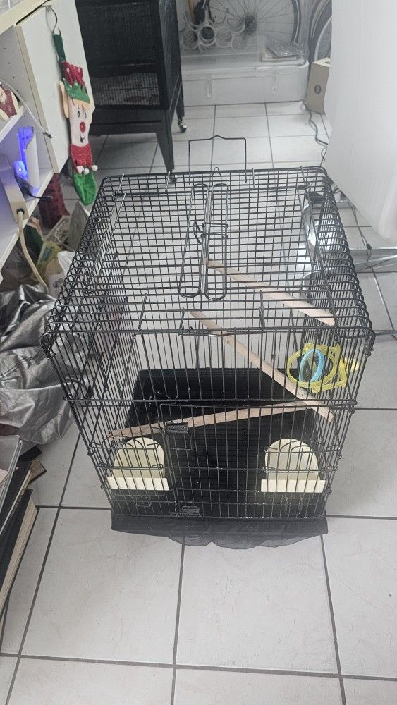 Bird Cage