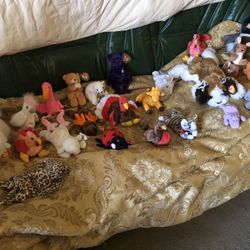 BEANIE BABY COLLECTION!