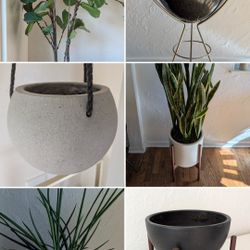 Plants, Planters, Grow Lights, READ DESCRIPTION - MidCentury Modern, MCM, Minimal - Moving Sale