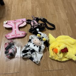 Dog Items !