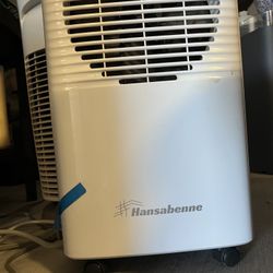 Commercial Dehumidifier 