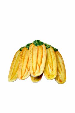 Vintage Italian Majolica Pottery Set Of 6 Carrot Plates.