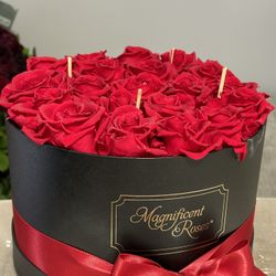 Magnificent Roses – Luxury Red Rose Box Arrangement
