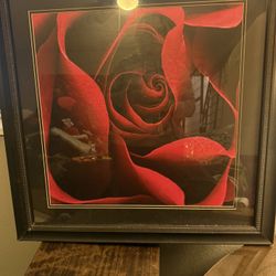 Rose Wall Frame 