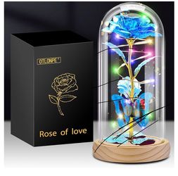 Valentine Day🌺 Dia Se San Valentin 