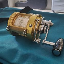 Penn International 12t