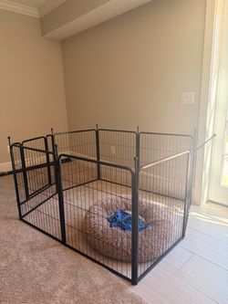 Dog gate, bed, and extra long leash