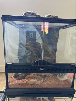 12x12x12 Reptile Enclosure 🐍