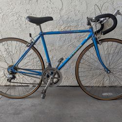 Schwinn Roadbike