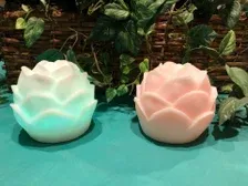 Light Up Glowing Rose Multi-Color Battery Operated Set of Two (New)