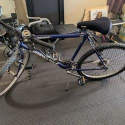 Vintage Diamond Back Ascent Vintage Mountain Bike