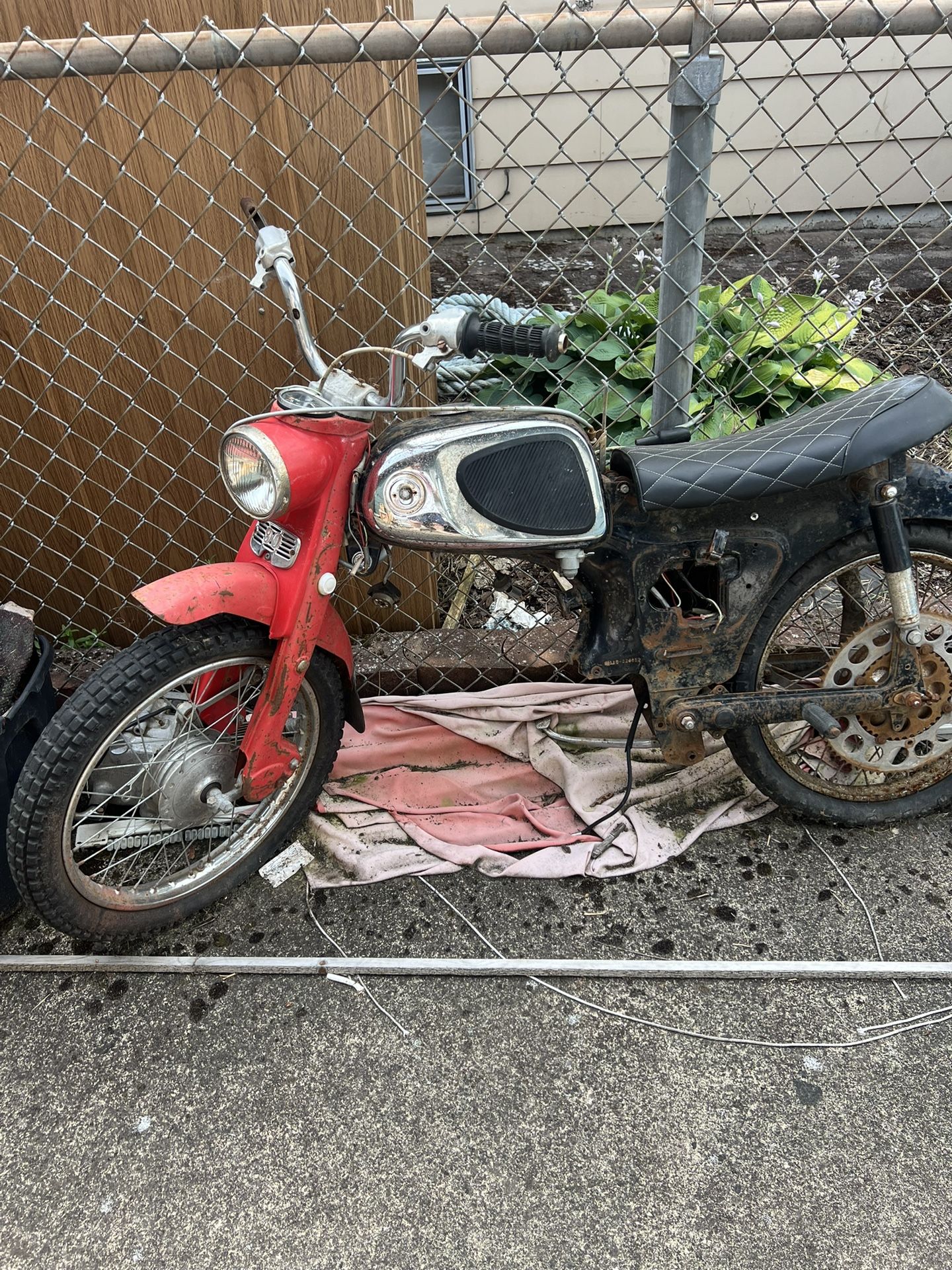 Honda Cub