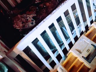 Mini crib