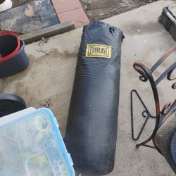 Punching Bag For Everything! 
