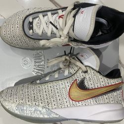 LeBron 20s Debut (NEED GONE ASAP)