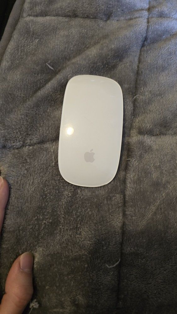 Apple Mouse 2