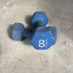 8 Lb Dumbbells 
