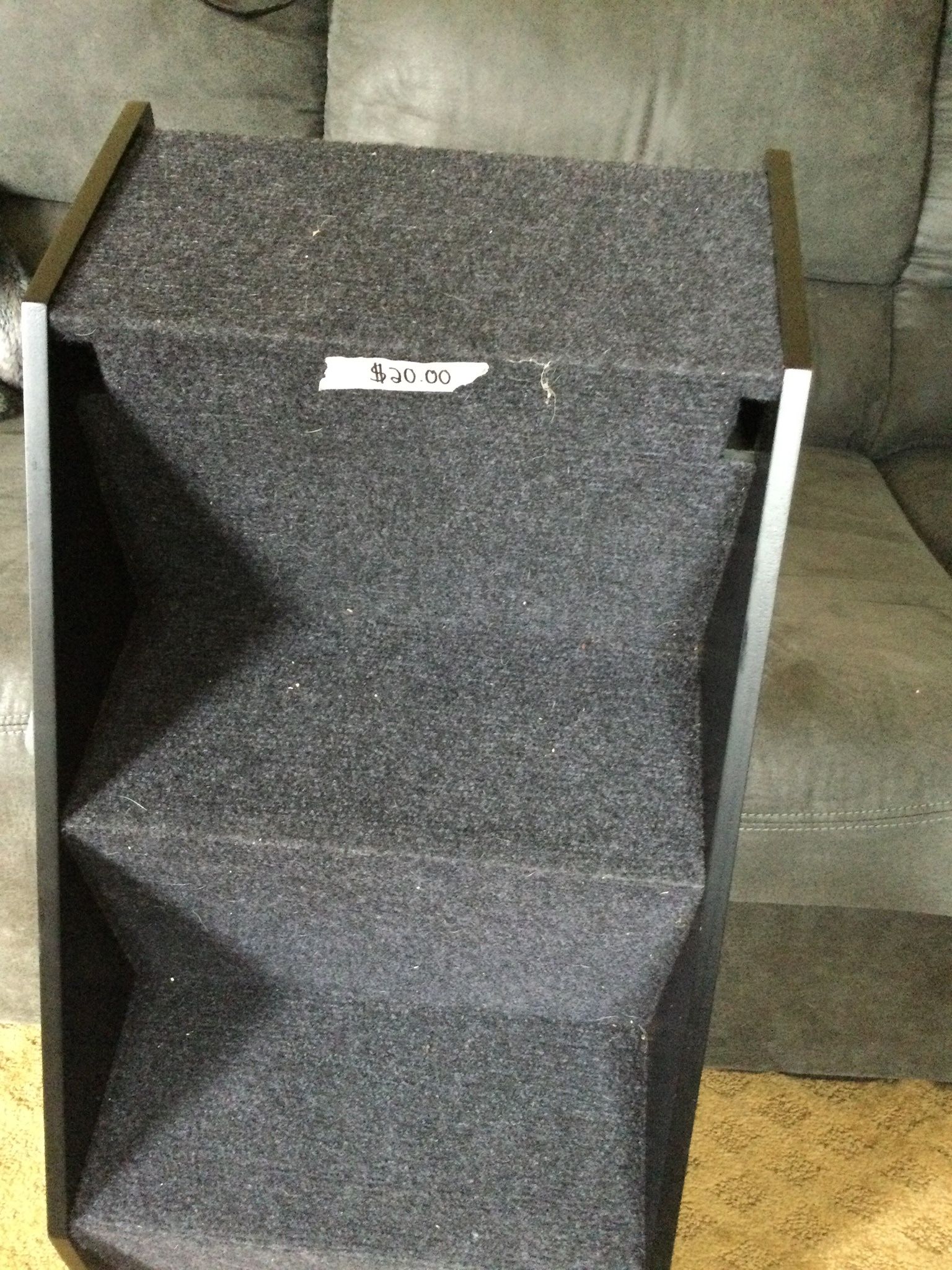 Pet Steps