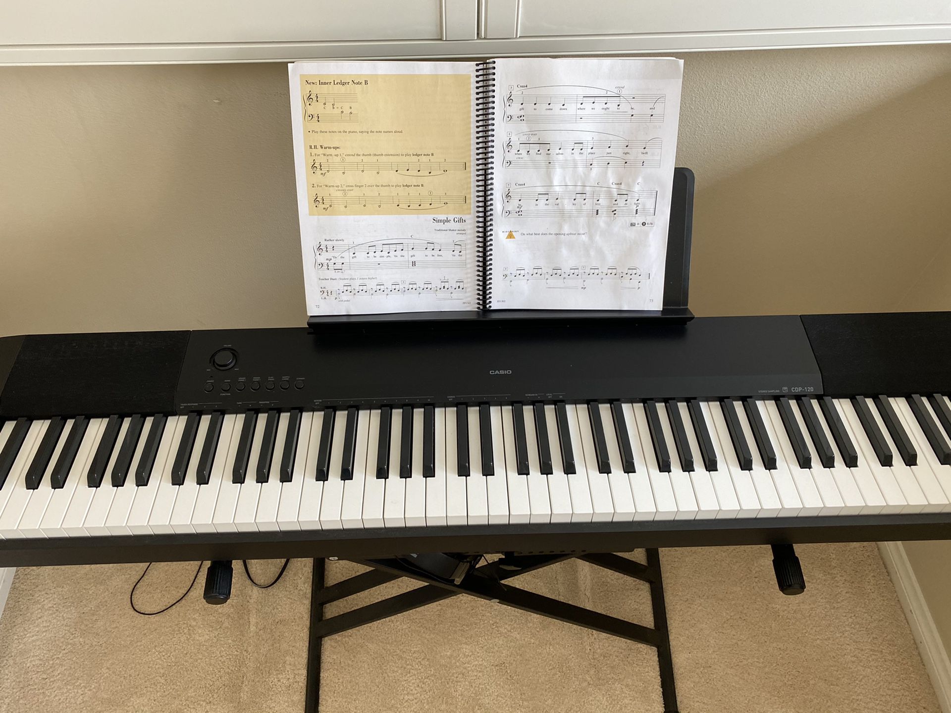 Casio piano and stand