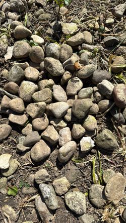 FREE ROCKS - Small Size 2” - 3”