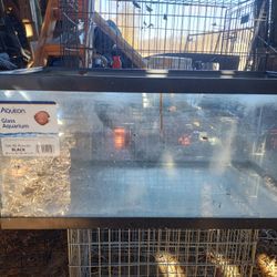 Fish Tank