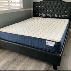 Ck Black Crystal Button Bed With Ortho Mattress Included 