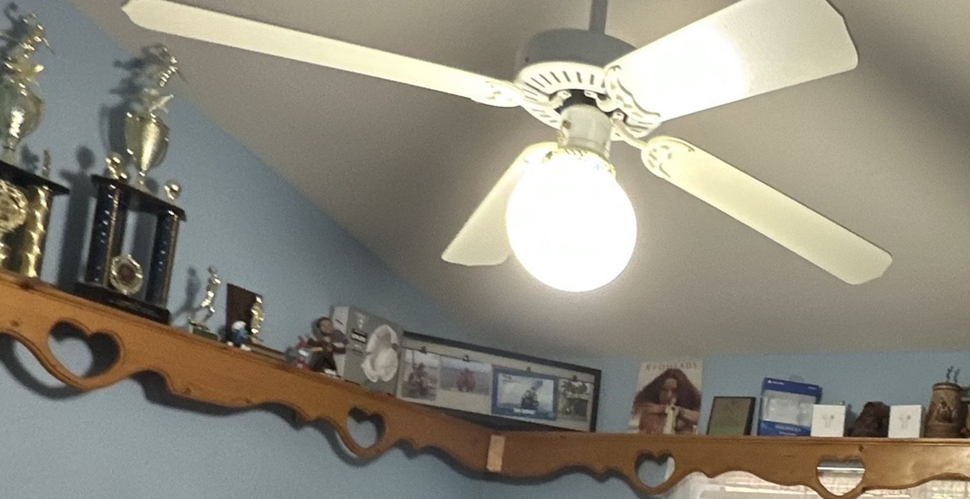 Shelves