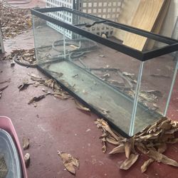 Fish Tank. Large. Not Sure How Many Gallons. 
