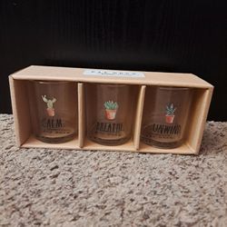 Rae Dunn Cactus Votives