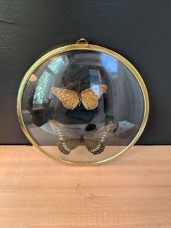 Vintage Butterfly Wall Hanging