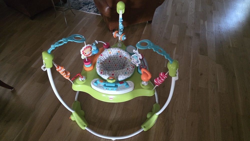 Fisher Price Jumperoo Bouncer