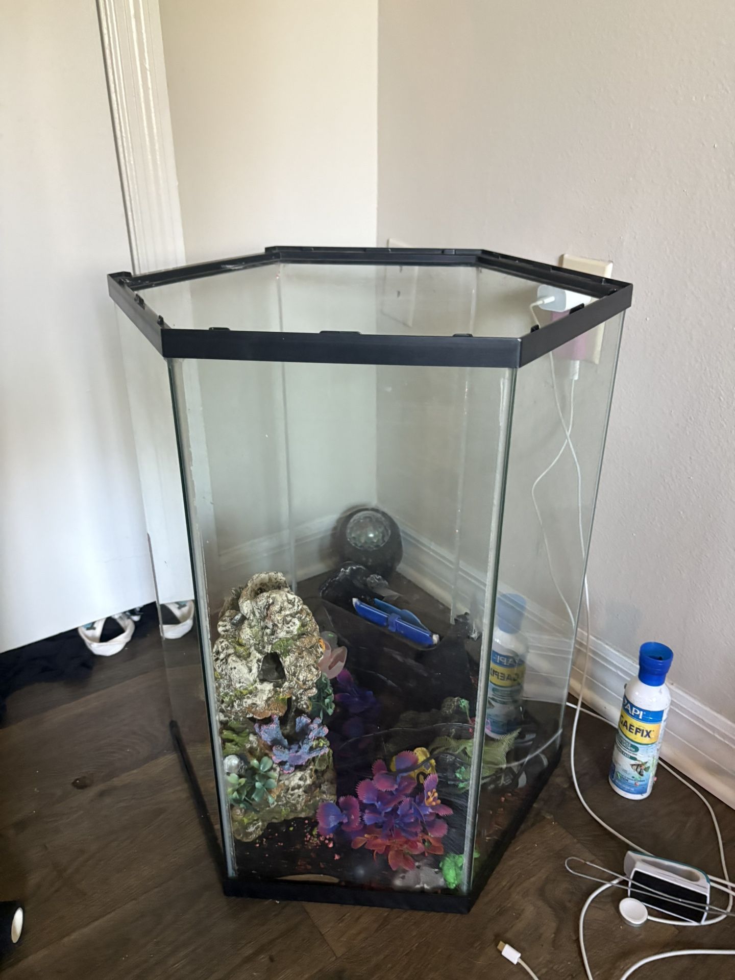 40 Gallon Fish Tank Must Go!!