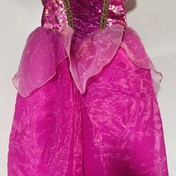 Disneyland Princess Aurora Dress